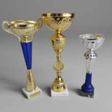 кубки спортивные наградные современные